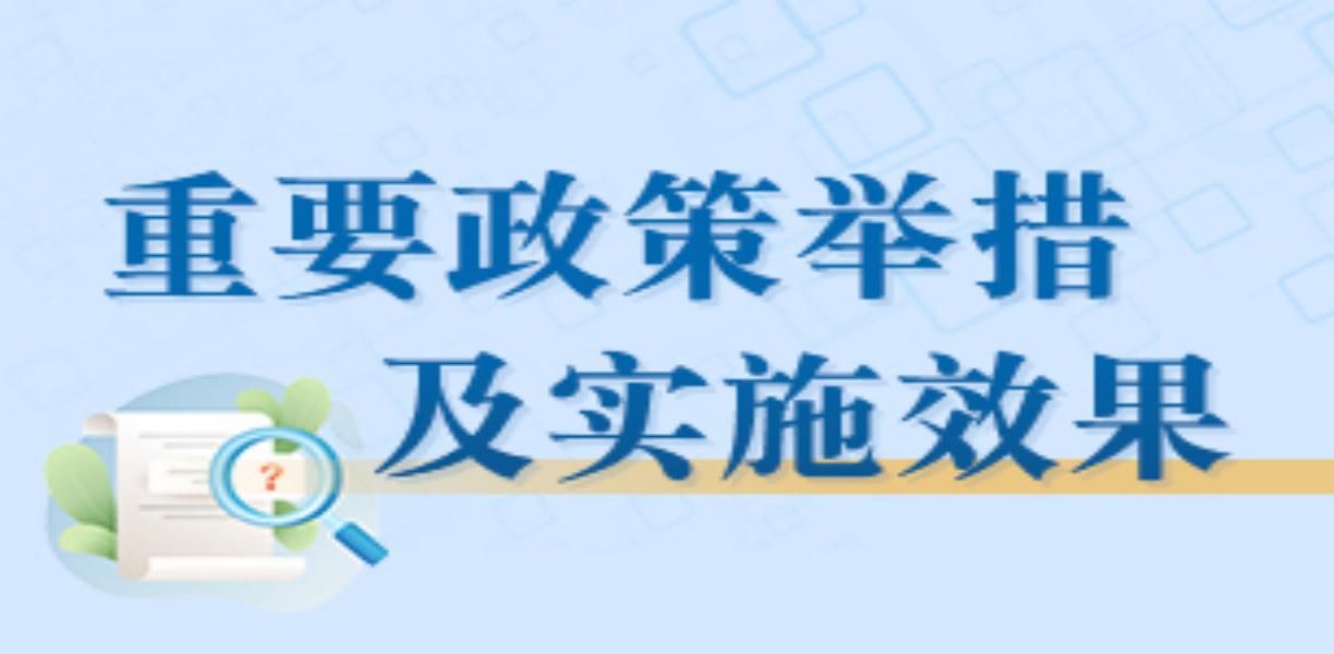 重大政策舉措及實(shí)施效果