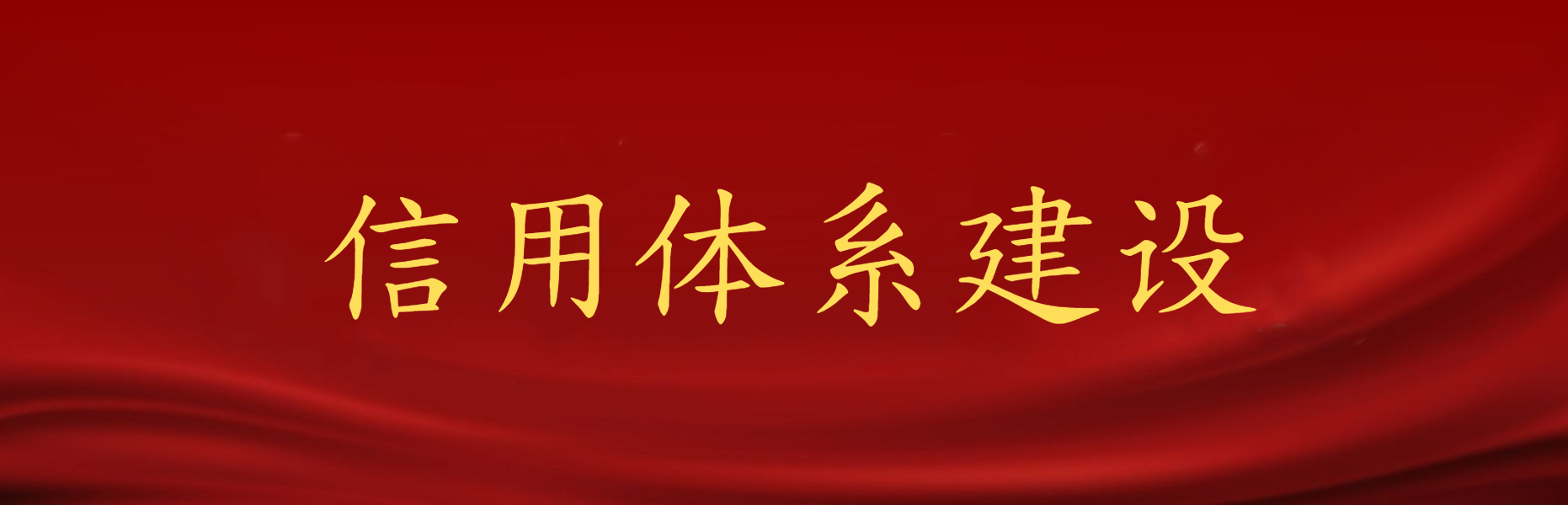 信用體系建設(shè)